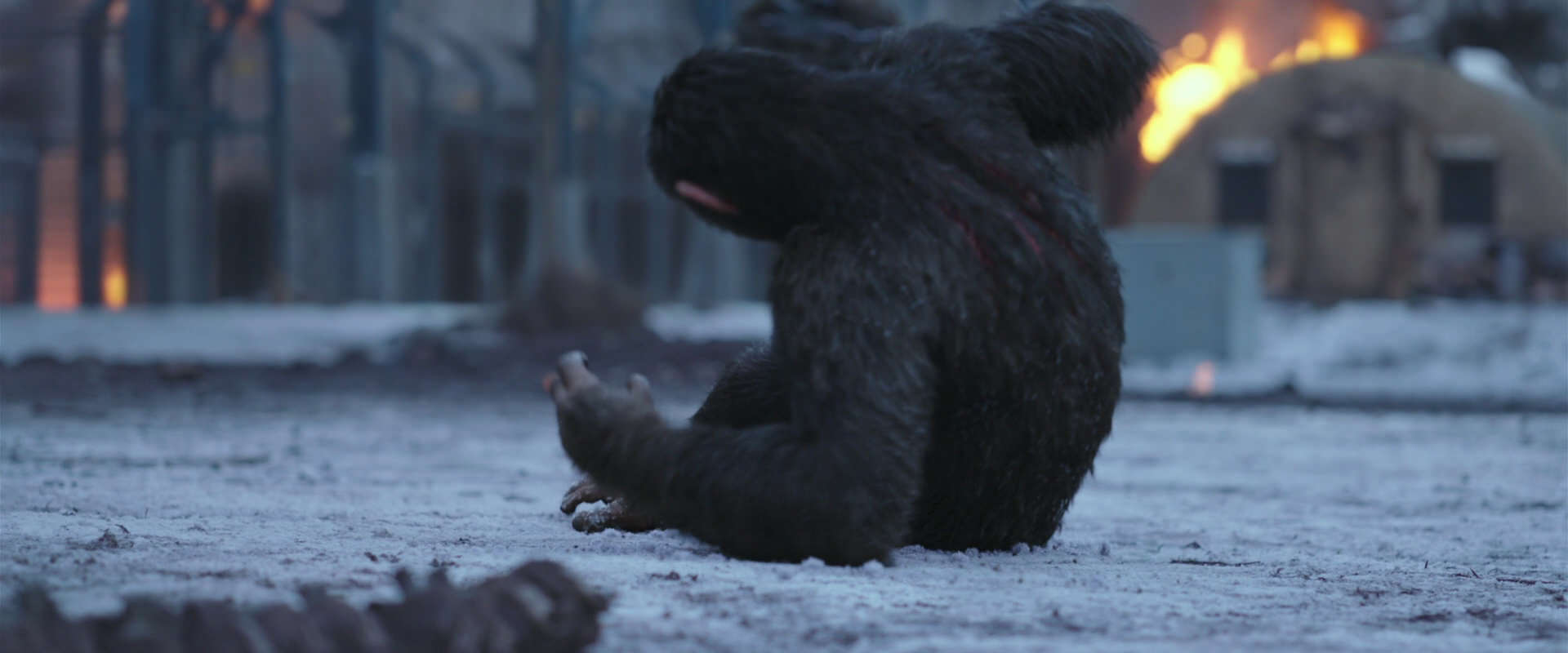 War for the Planet of the Apes (2017) screencap 14229