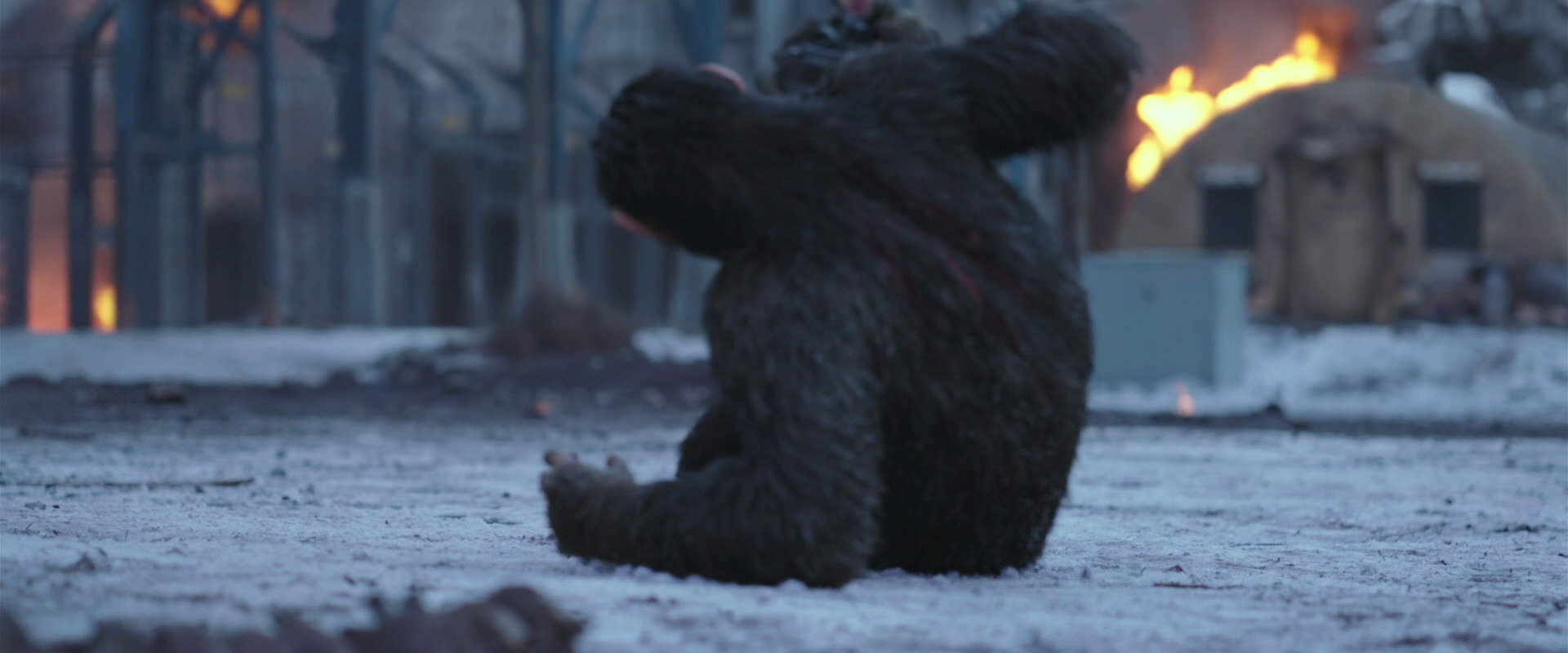 War for the Planet of the Apes (2017) movie still 14230