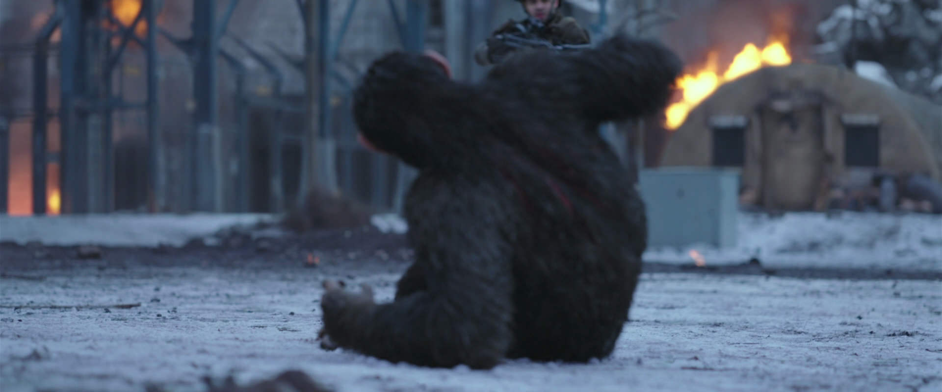 War for the Planet of the Apes (2017) HD screenshot 14231