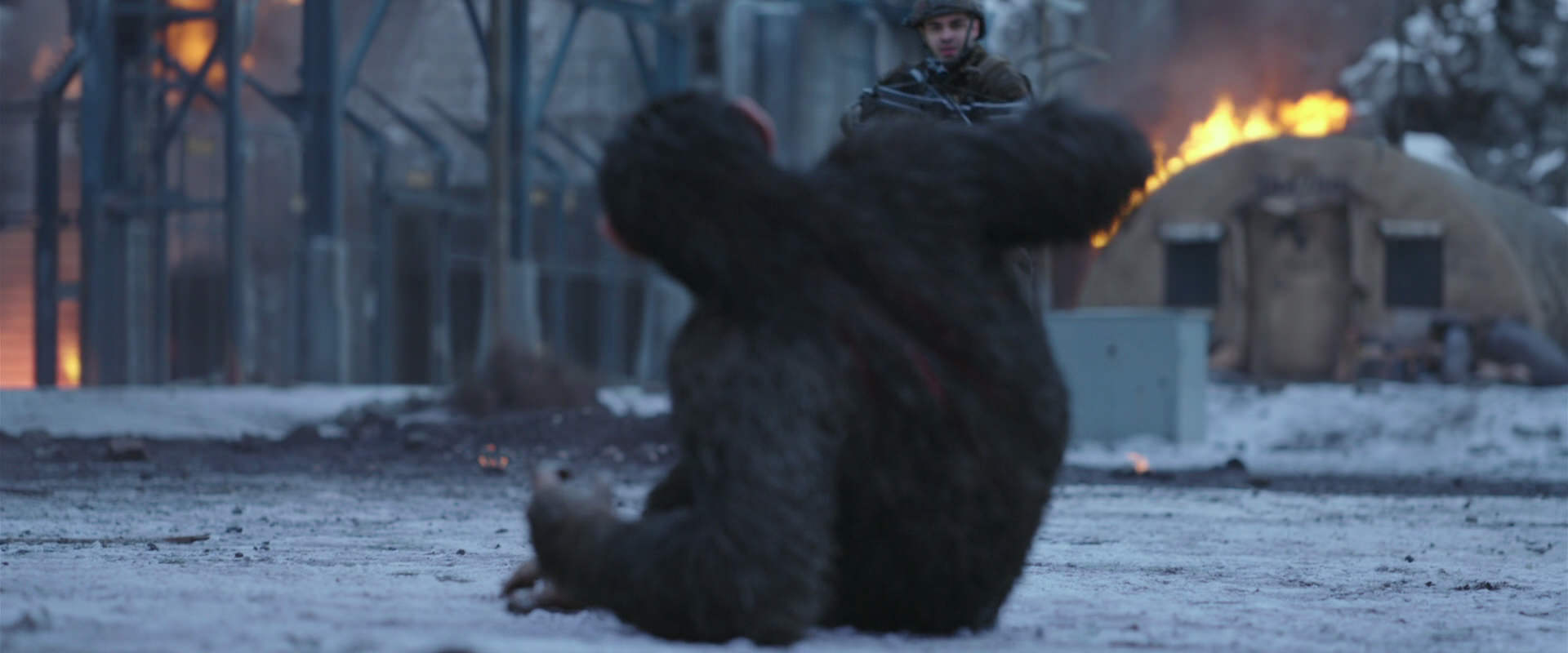 War for the Planet of the Apes (2017) screencap 14232