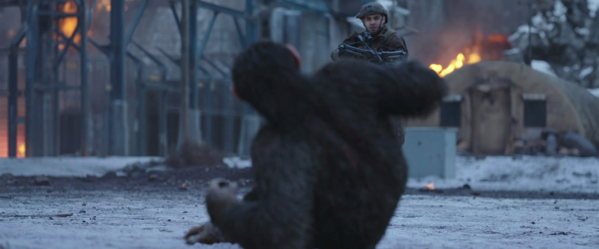 War for the Planet of the Apes (2017) movie still 14233