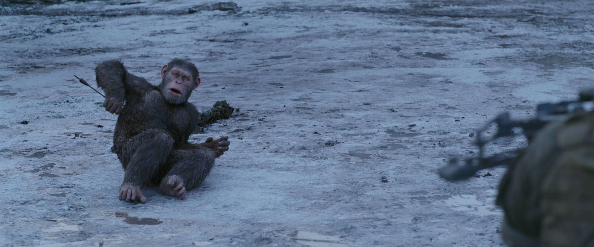 War for the Planet of the Apes (2017) HD screenshot 14234