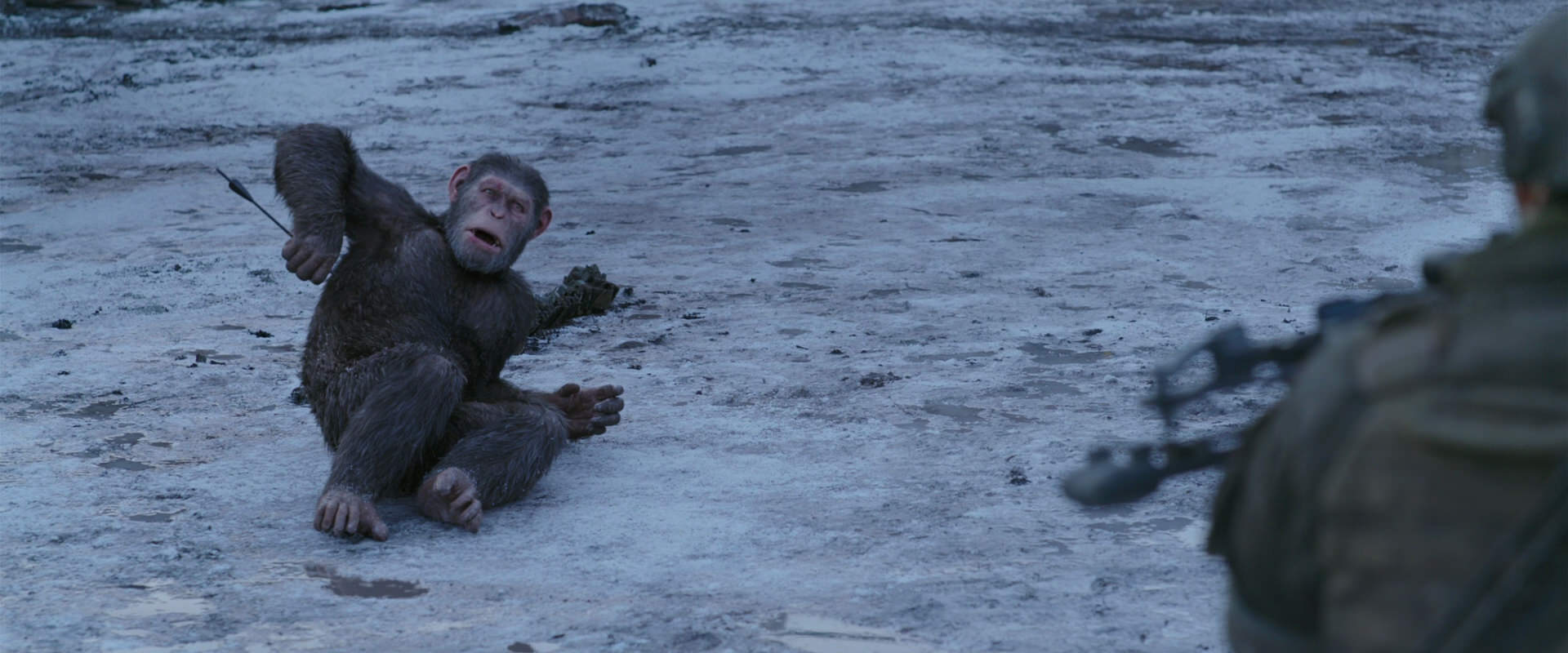 War for the Planet of the Apes (2017) screencap 14235