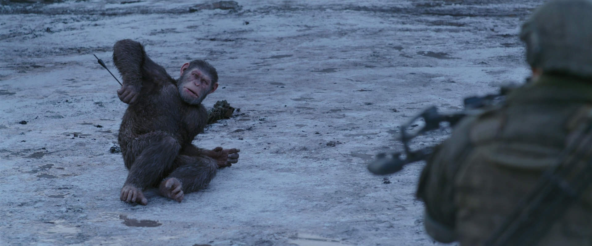 War for the Planet of the Apes (2017) movie still 14236