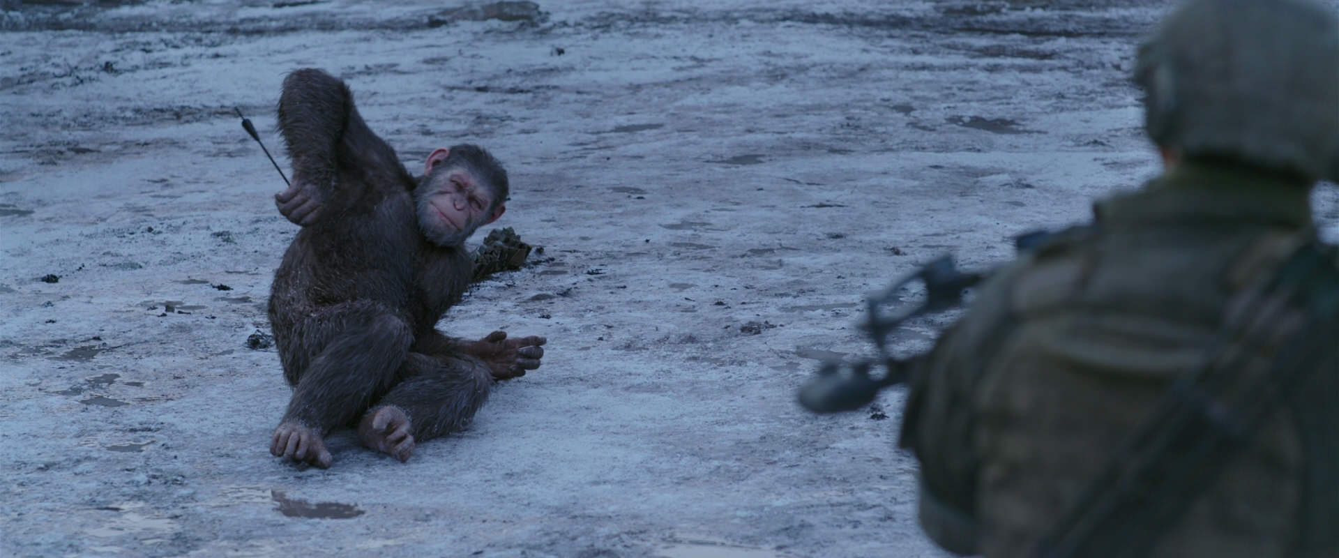 War for the Planet of the Apes (2017) HD screenshot 14237