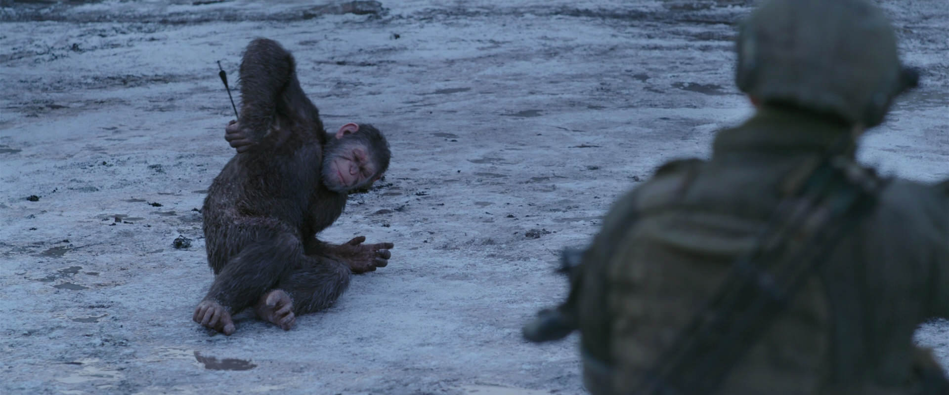 War for the Planet of the Apes (2017) screencap 14238