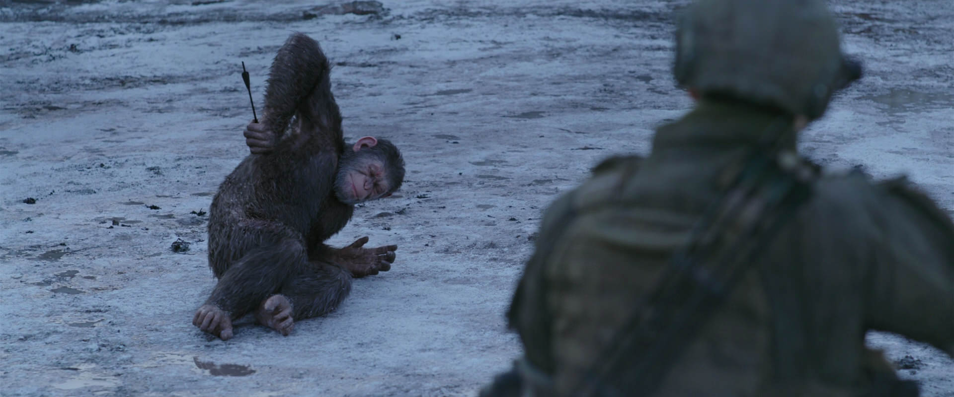 War for the Planet of the Apes (2017) movie still 14239