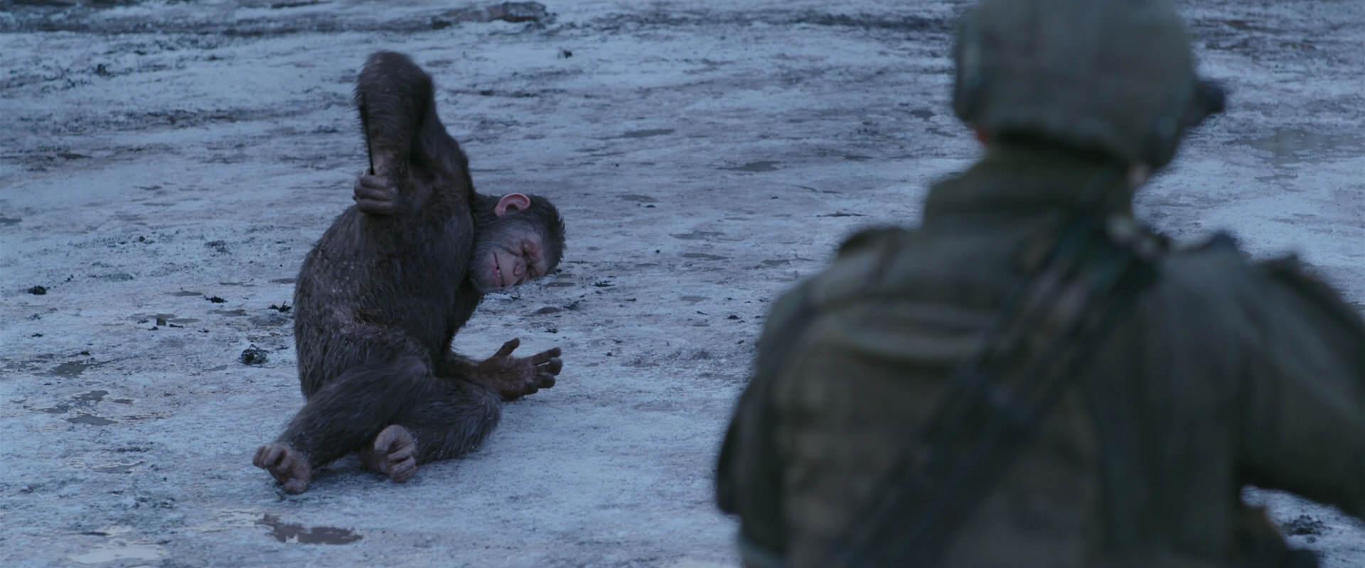 War for the Planet of the Apes (2017) HD screenshot 14240