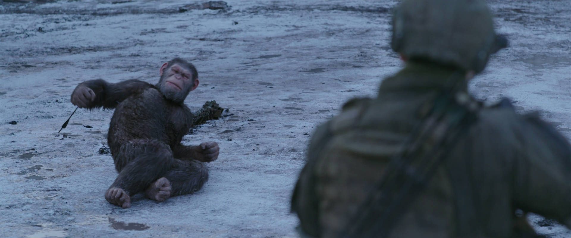 War for the Planet of the Apes (2017) screencap 14241