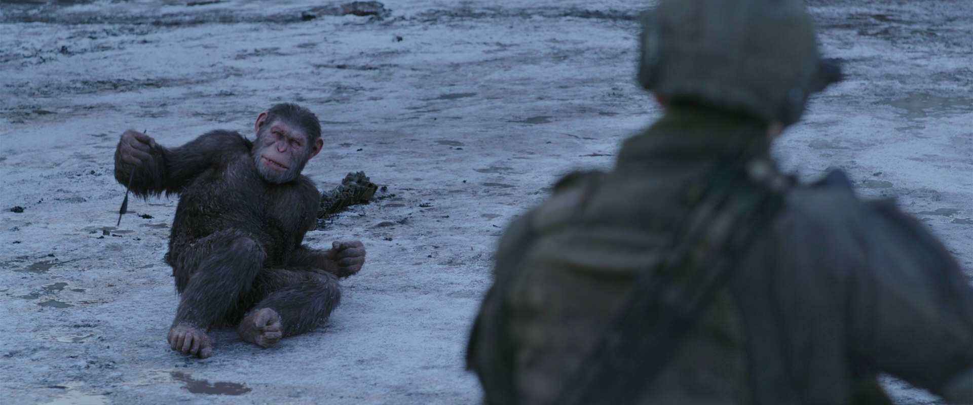 War for the Planet of the Apes (2017) movie still 14242