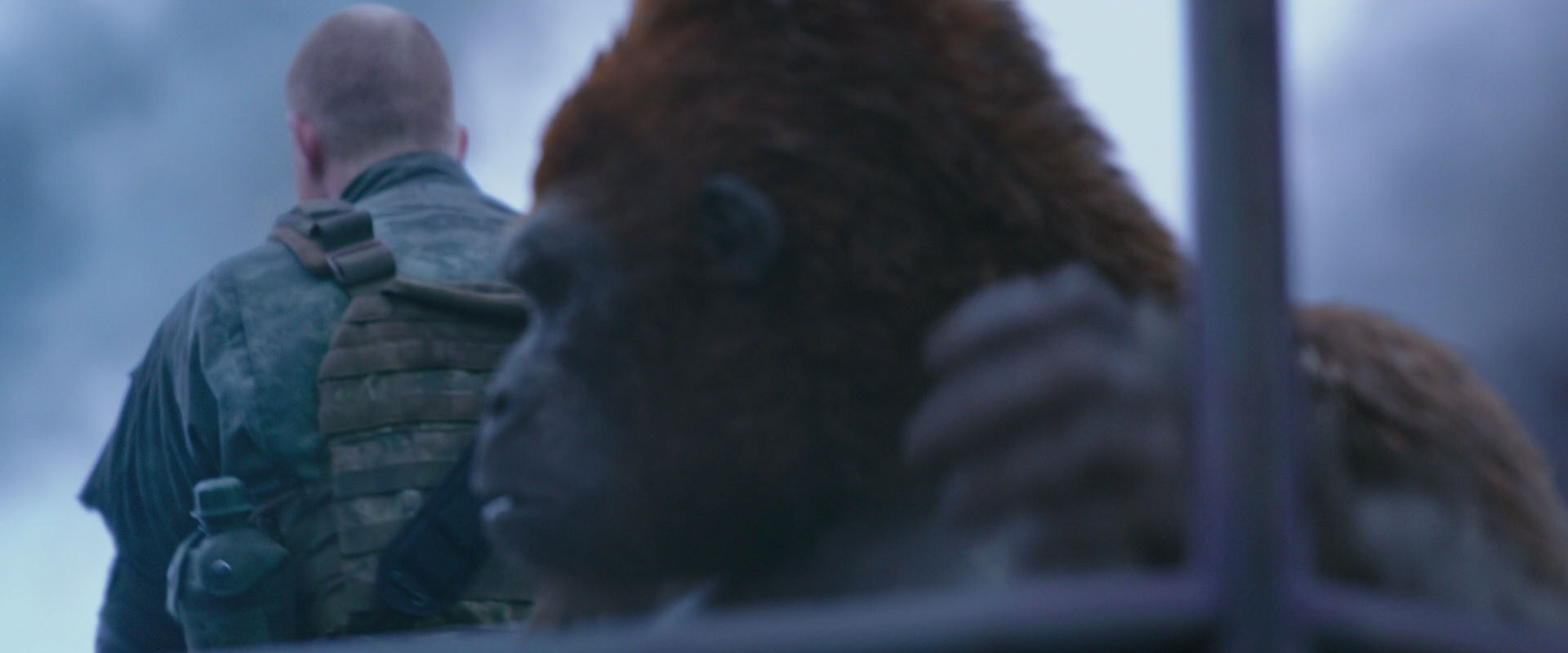 War for the Planet of the Apes (2017) movie still 14257