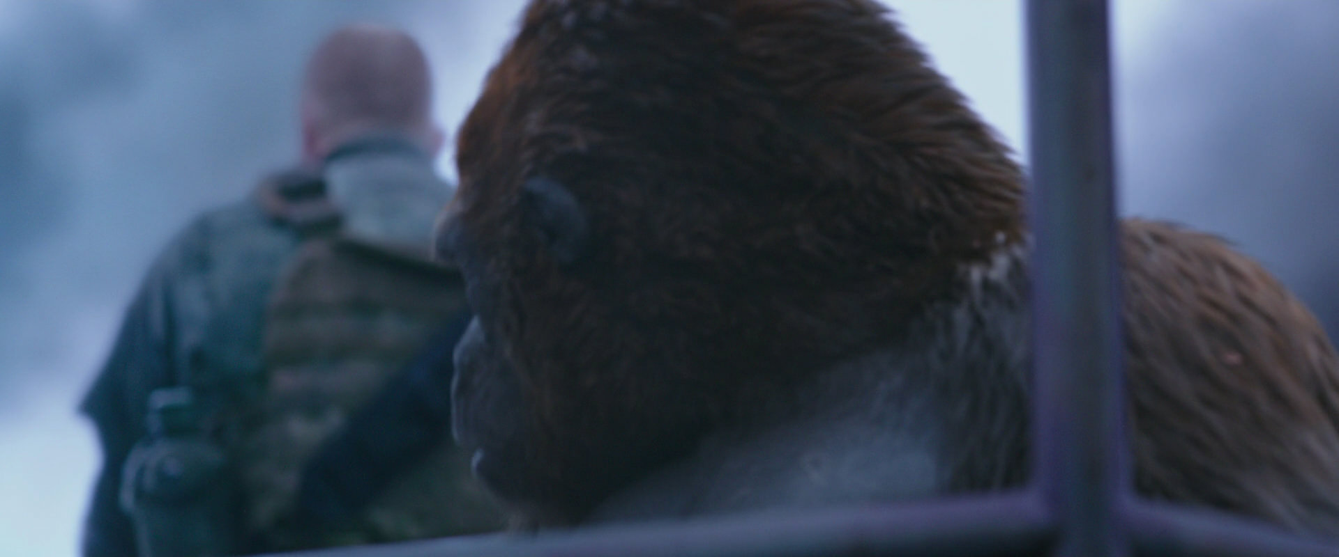 War for the Planet of the Apes (2017) HD screenshot 14258