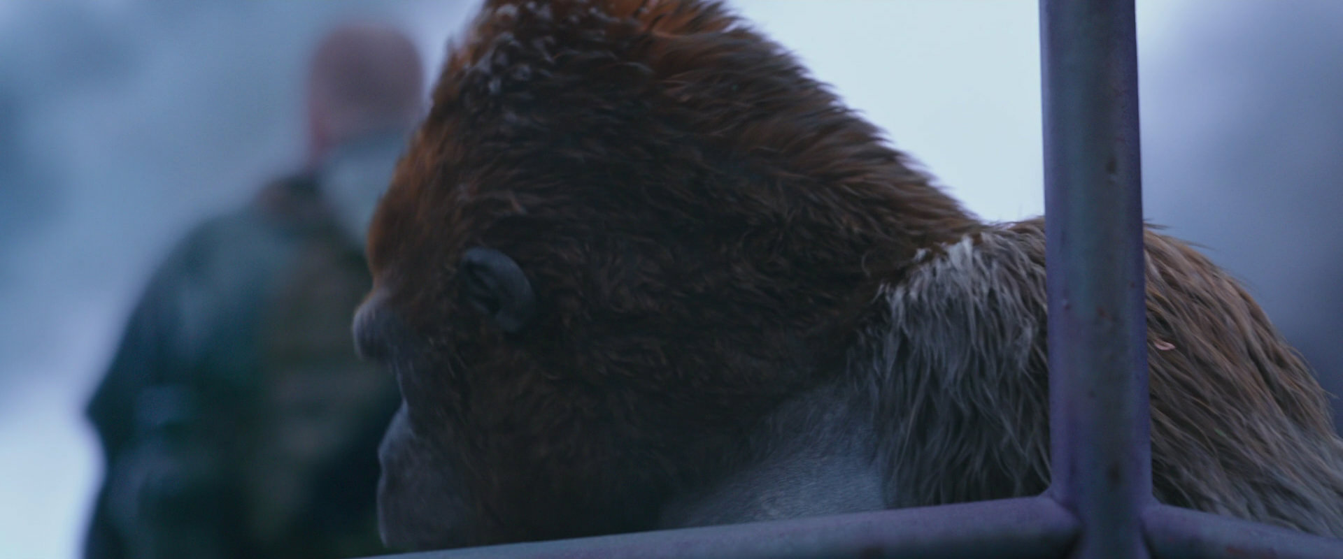 War for the Planet of the Apes (2017) screencap 14259