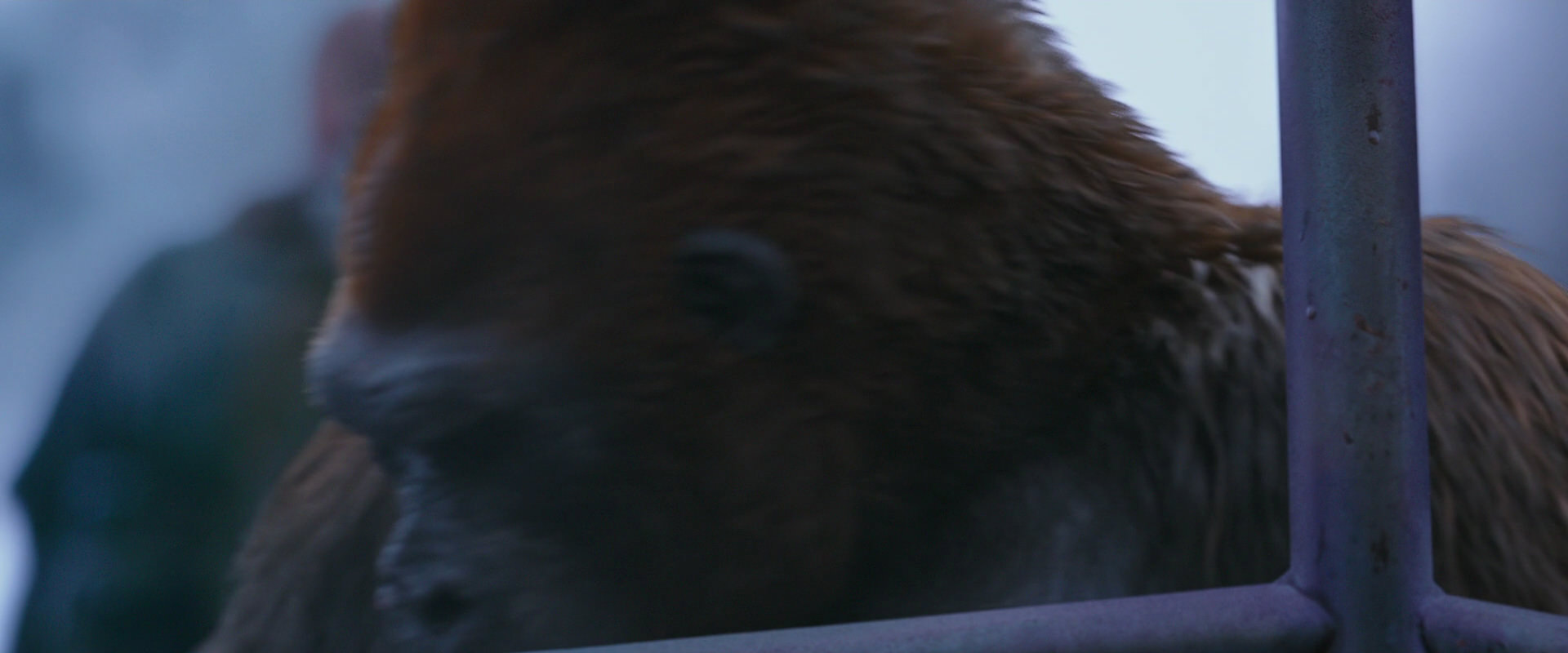 War for the Planet of the Apes (2017) HD screenshot 14270