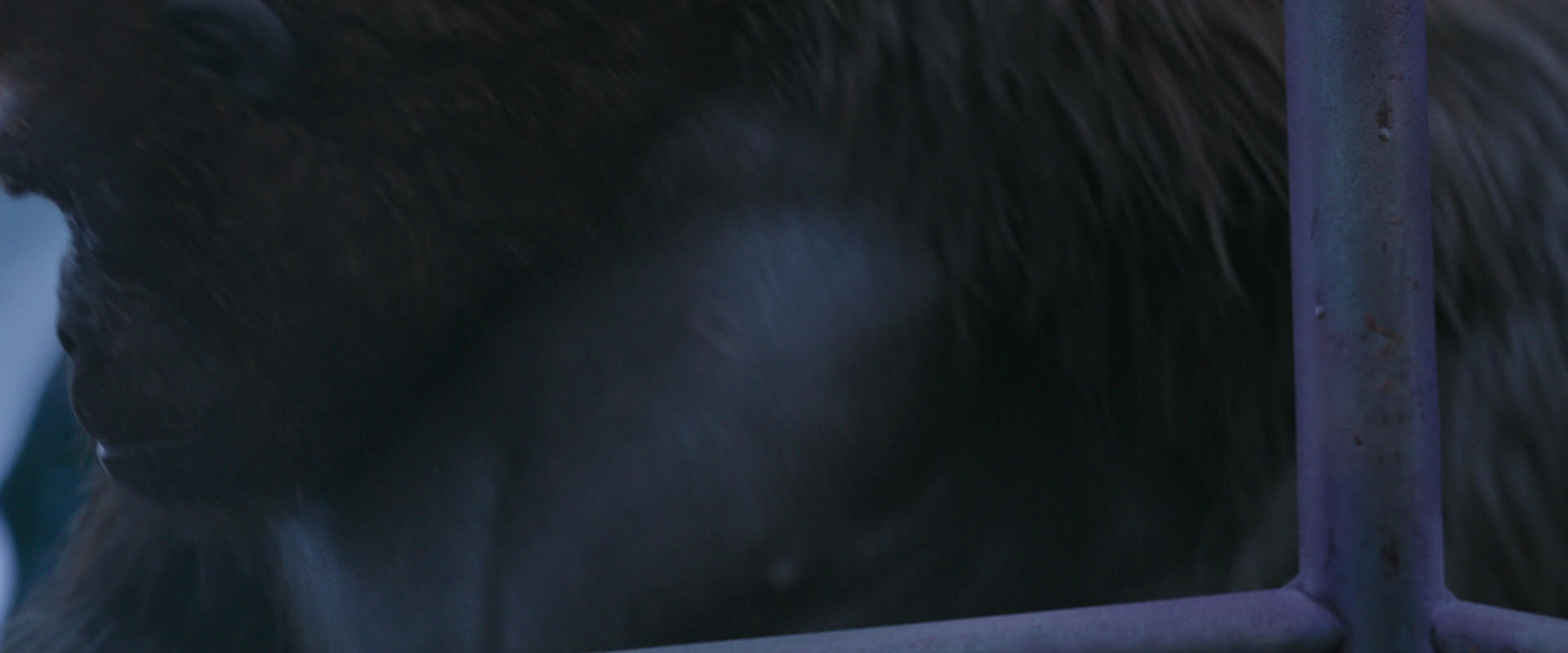 War for the Planet of the Apes (2017) screencap 14271