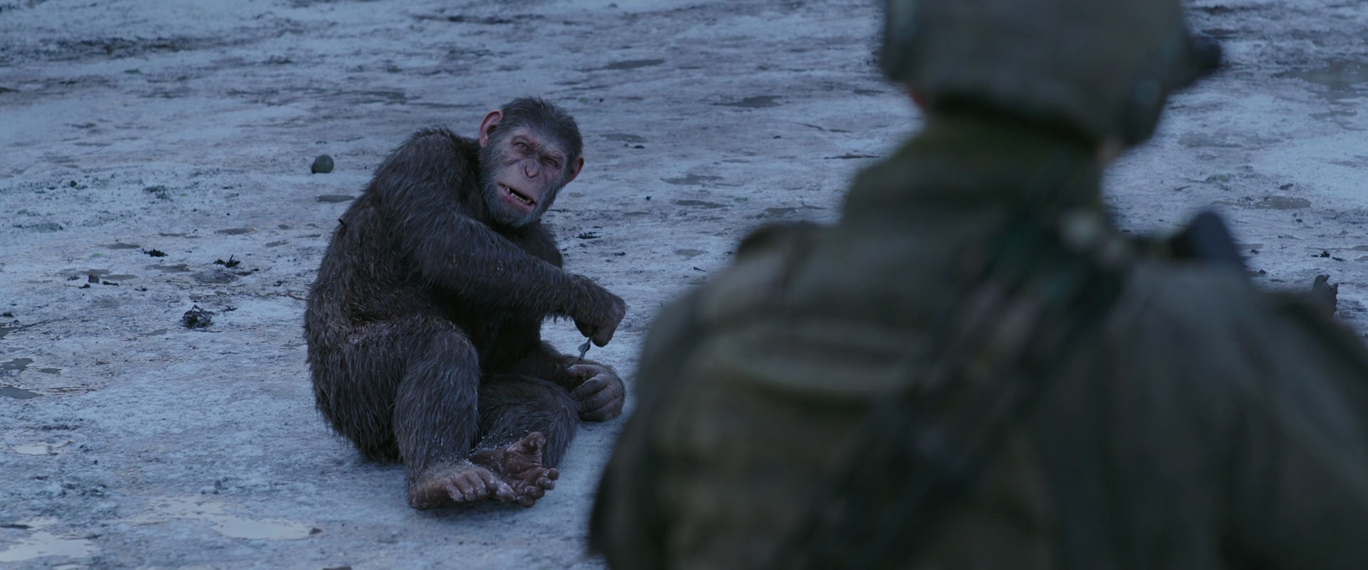 War for the Planet of the Apes (2017) movie still 14278