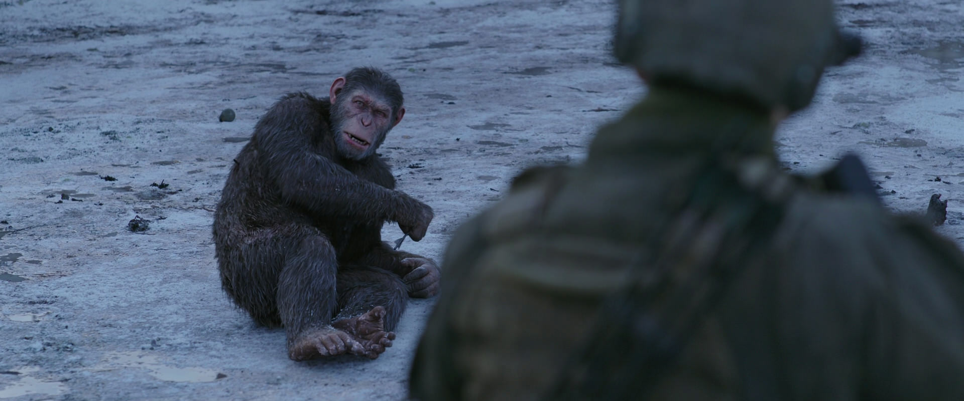 War for the Planet of the Apes (2017) HD screenshot 14279