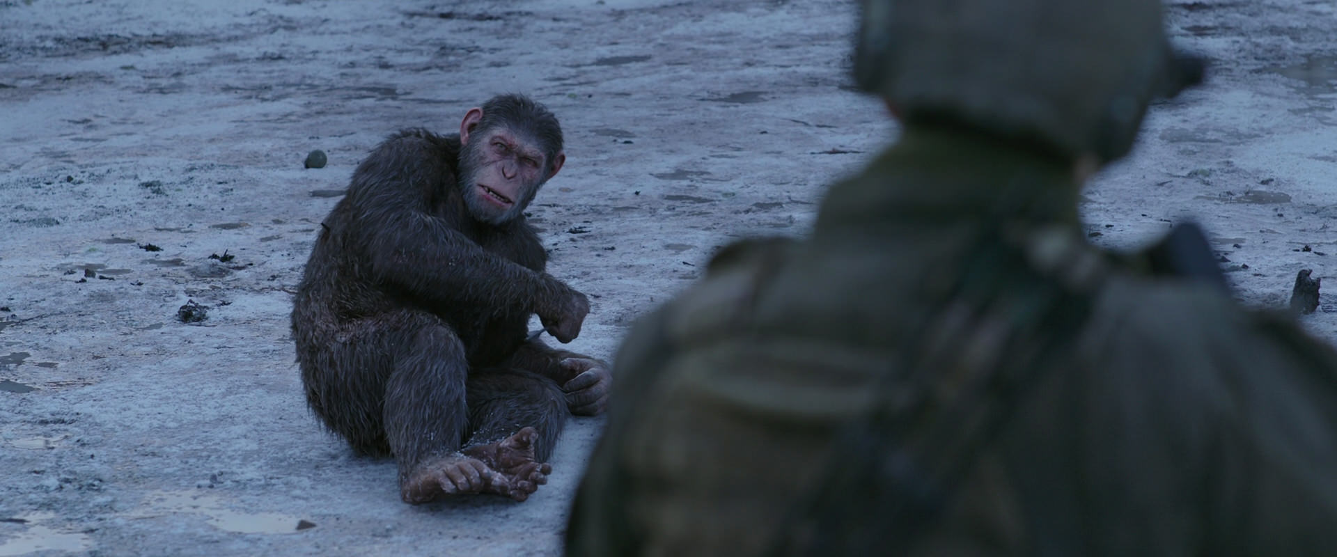 War for the Planet of the Apes (2017) screencap 14280