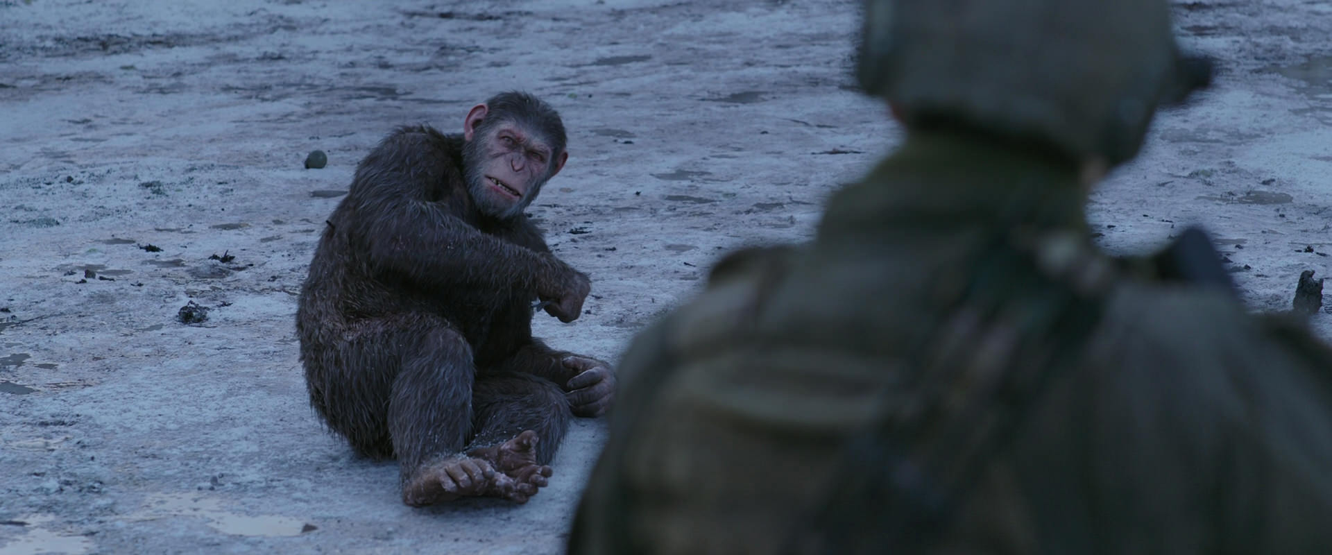 War for the Planet of the Apes (2017) movie still 14281