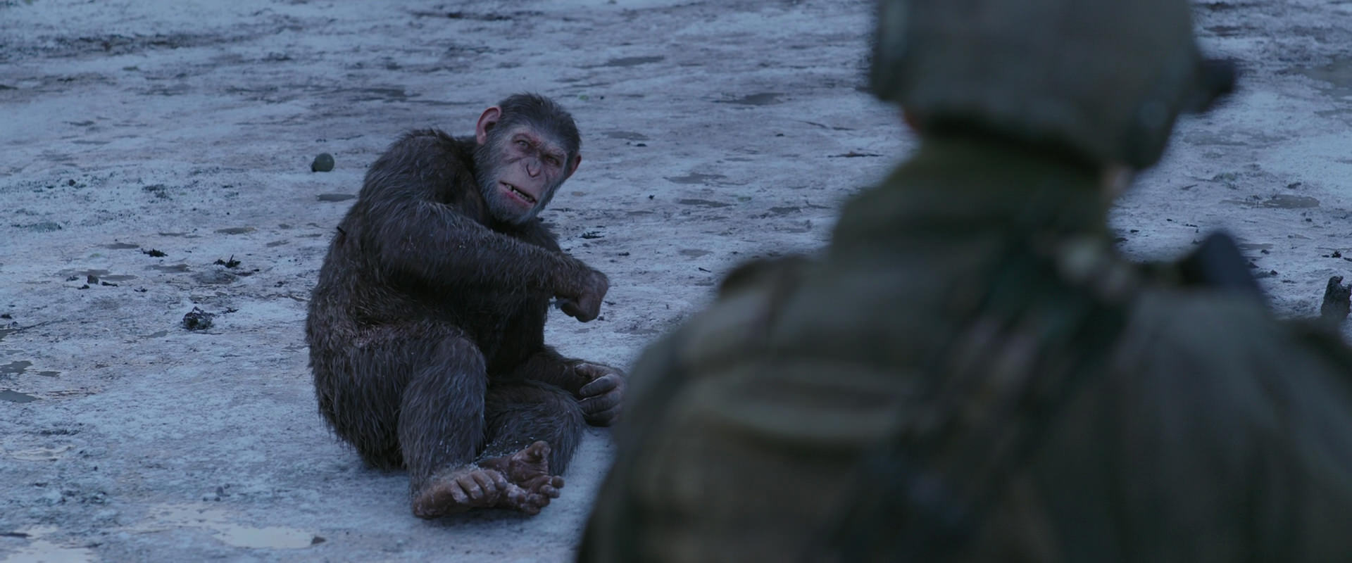 War for the Planet of the Apes (2017) HD screenshot 14282