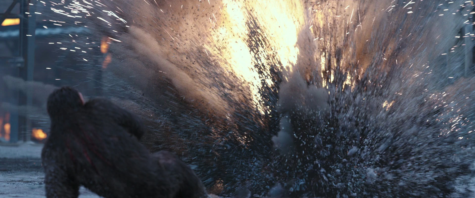 War for the Planet of the Apes (2017) screencap 14286