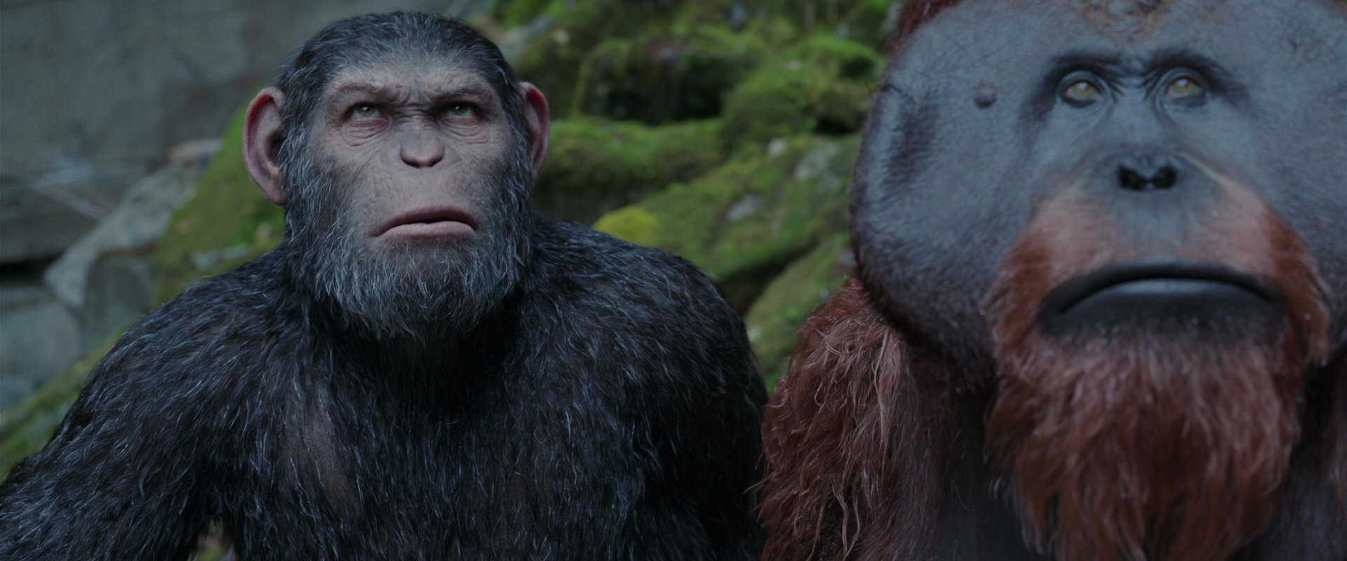 War for the Planet of the Apes (2017) HD screenshot 1430