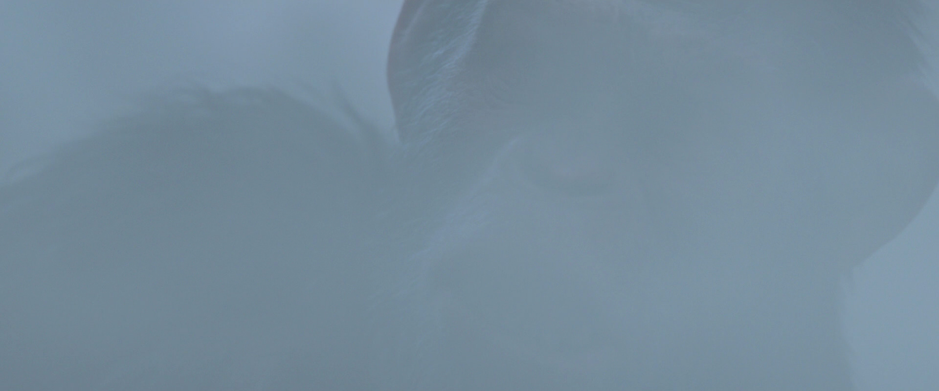War for the Planet of the Apes (2017) HD screenshot 14303