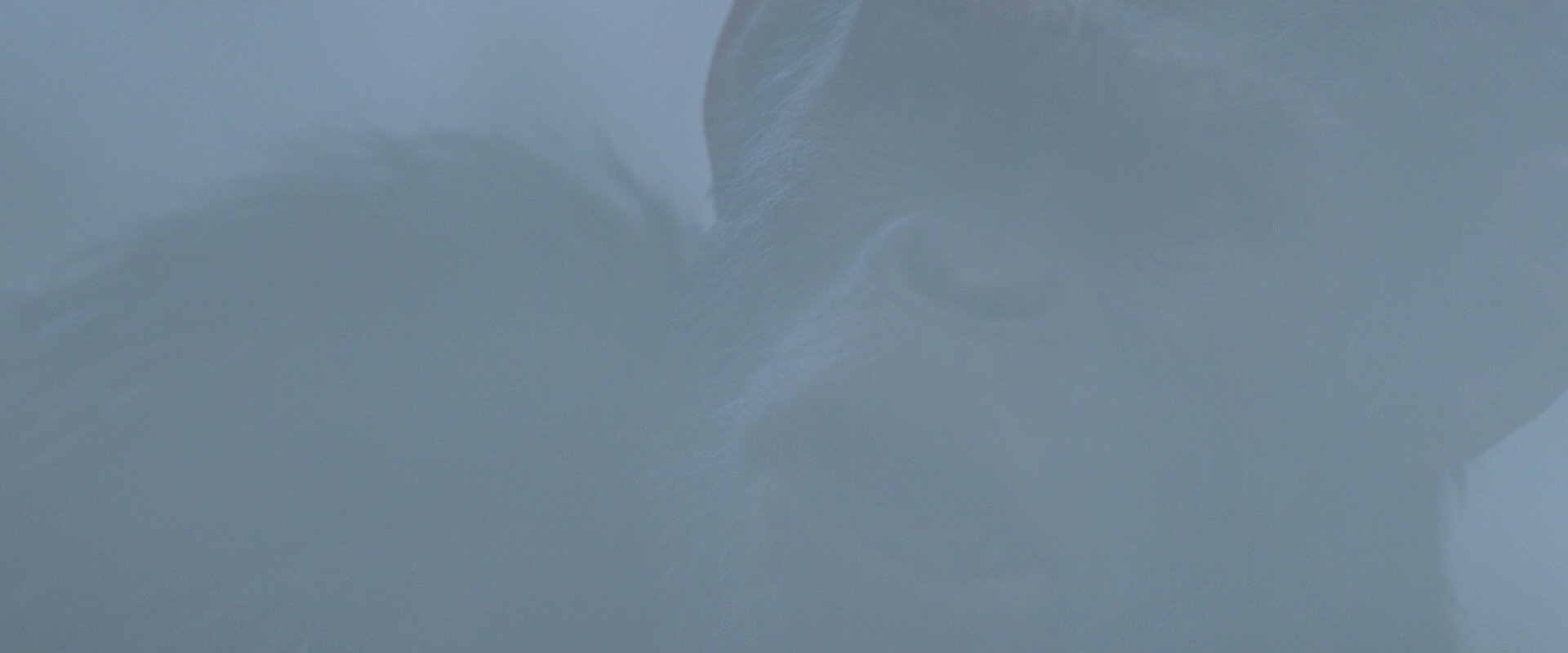 War for the Planet of the Apes (2017) screencap 14304