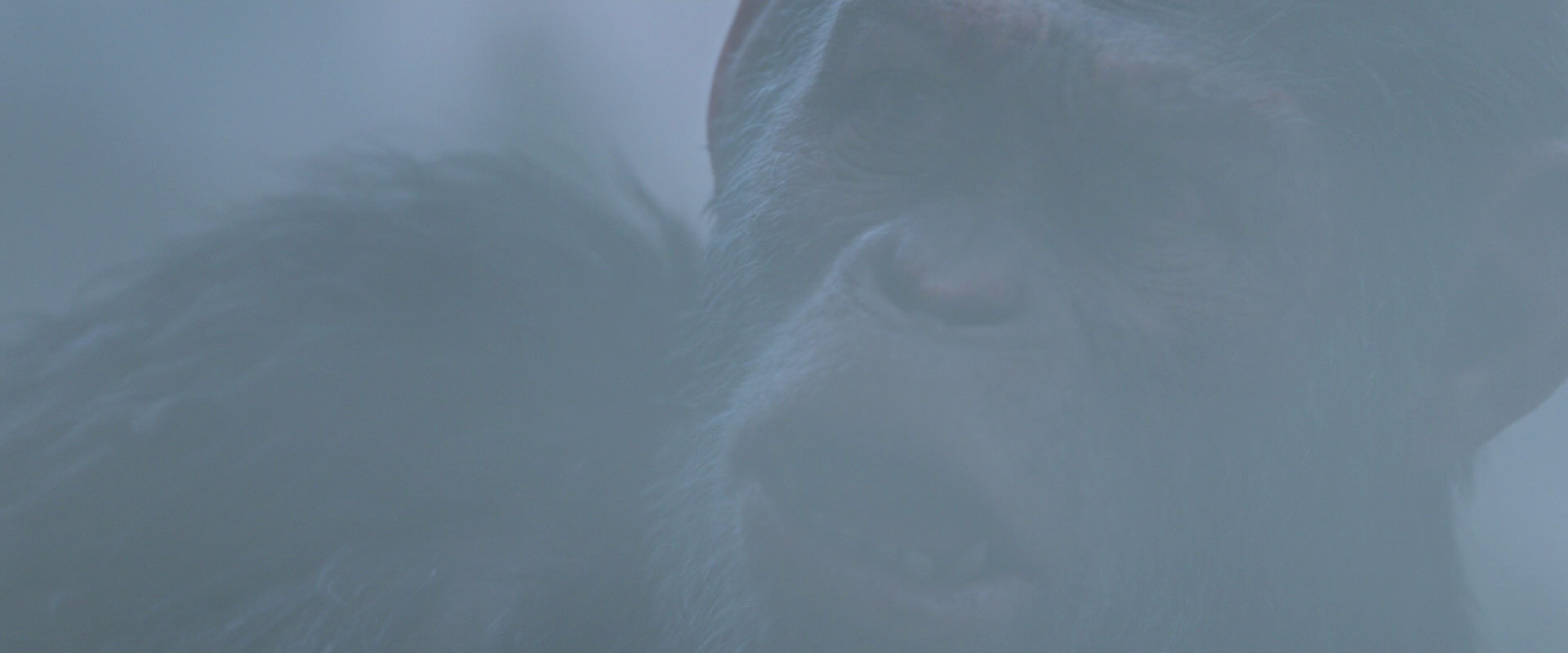 War for the Planet of the Apes (2017) movie still 14305