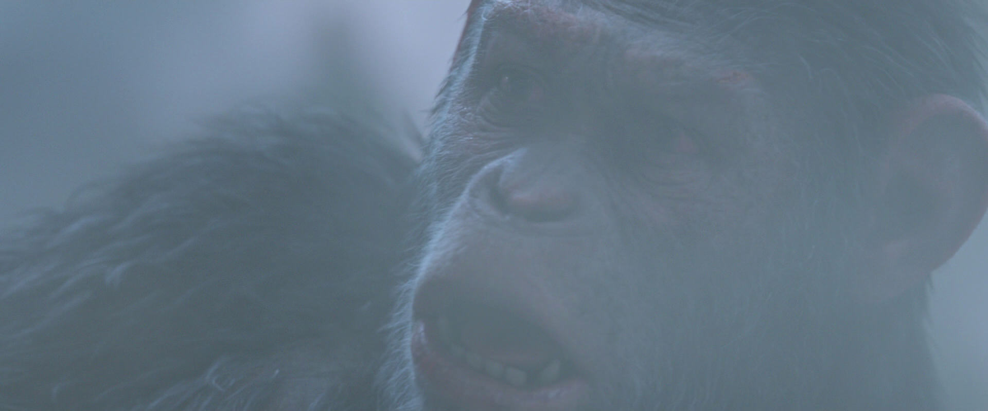 War for the Planet of the Apes (2017) HD screenshot 14306