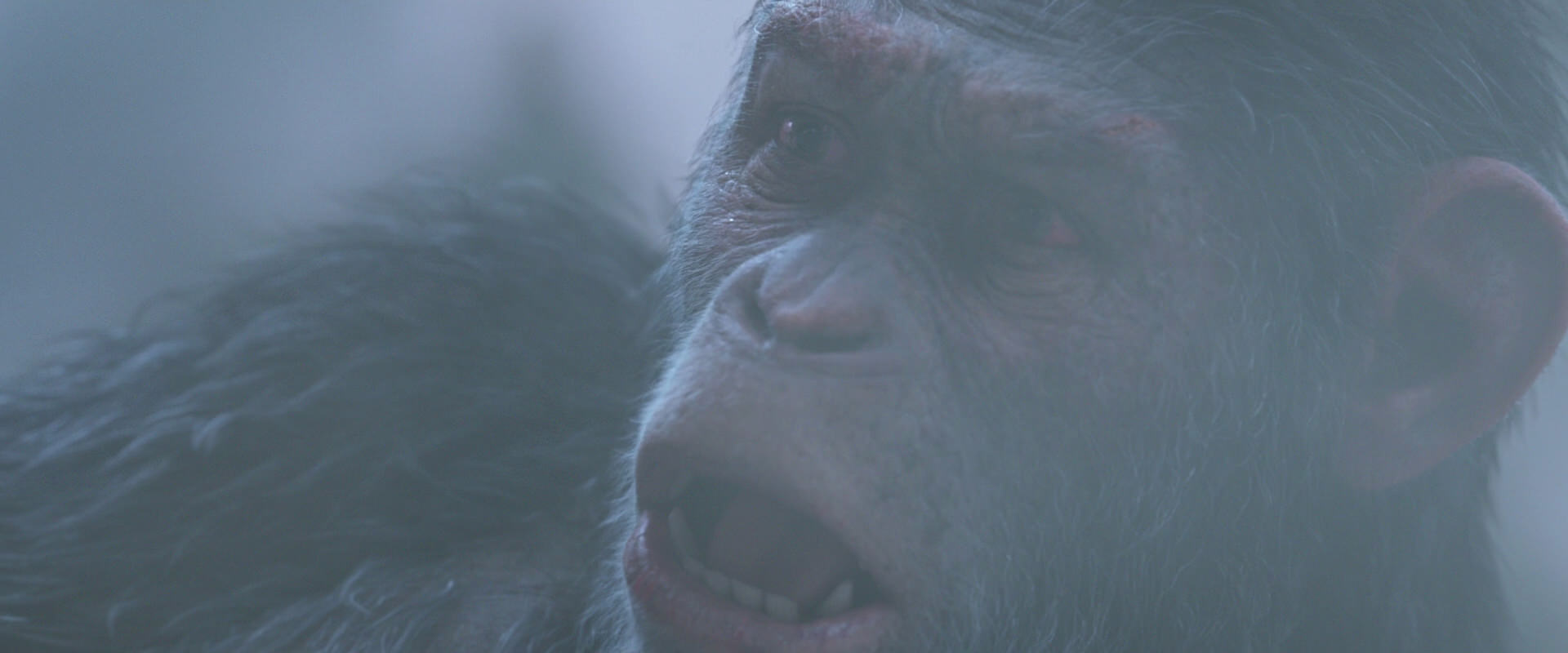 War for the Planet of the Apes (2017) screencap 14307