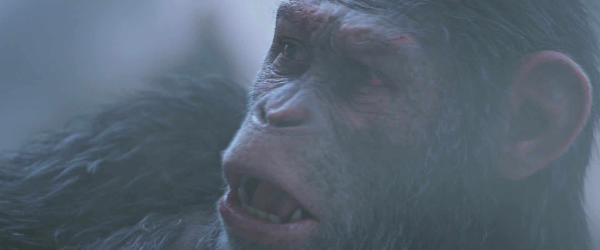 War for the Planet of the Apes (2017) movie still 14308