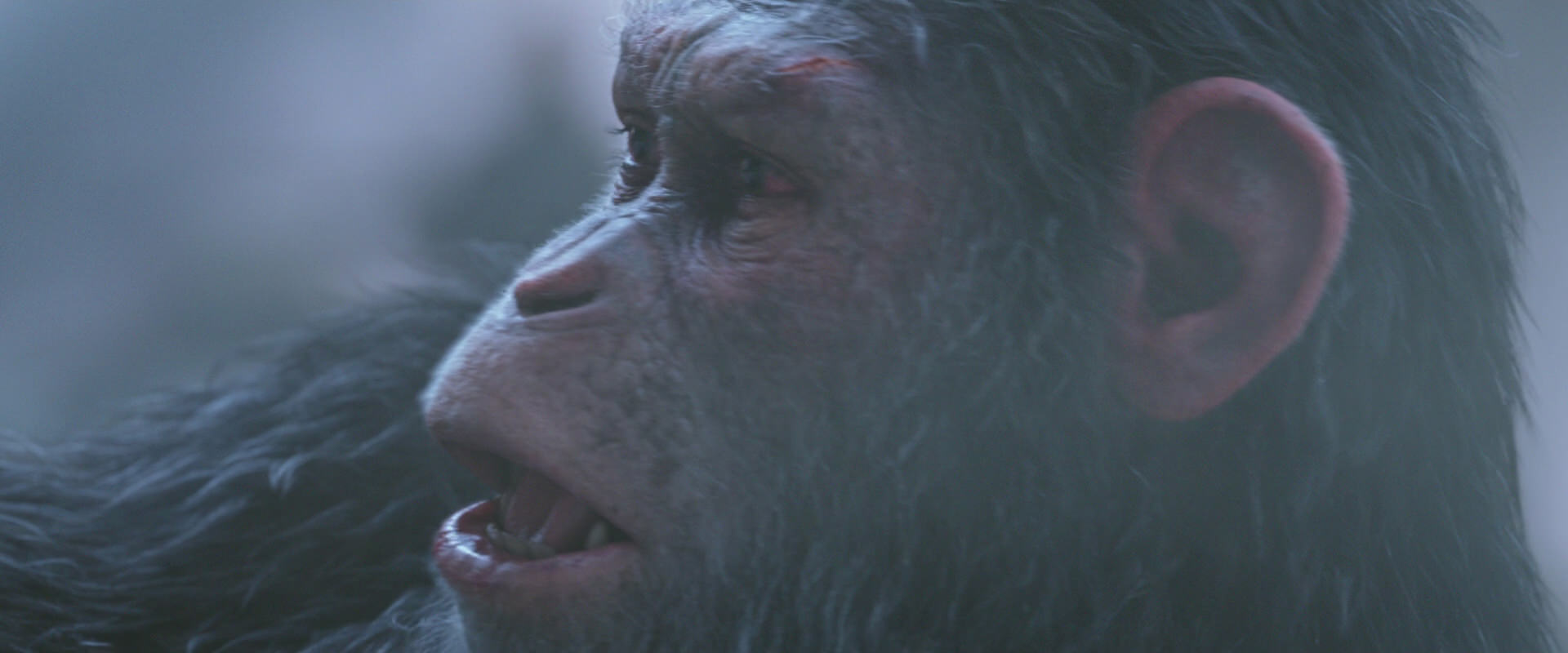War for the Planet of the Apes (2017) HD screenshot 14309
