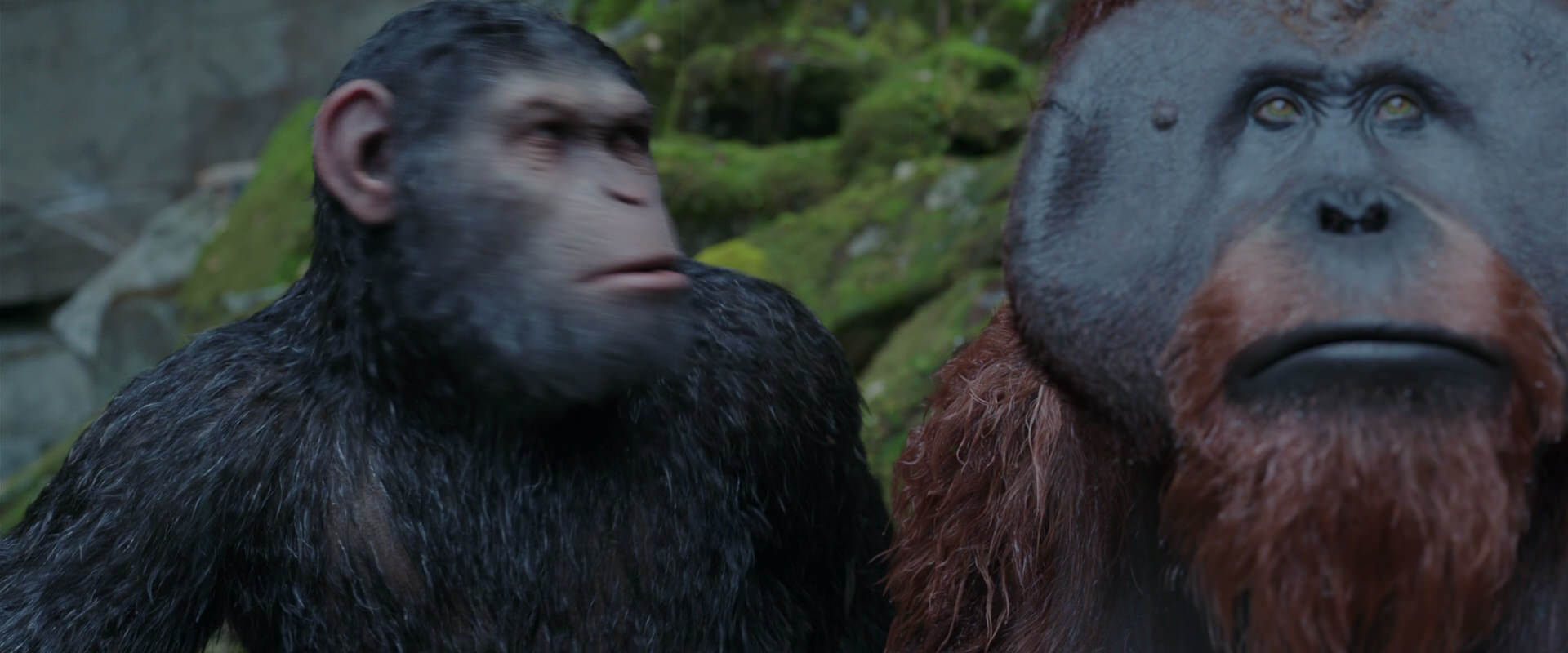 War for the Planet of the Apes (2017) screencap 1431