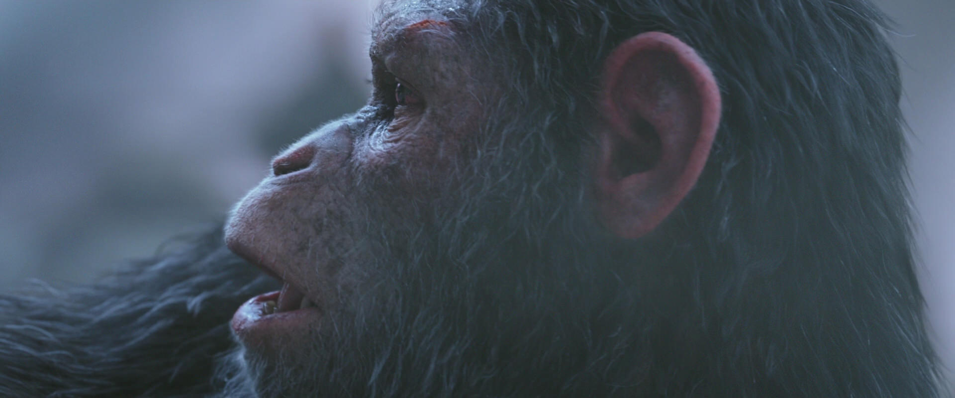War for the Planet of the Apes (2017) screencap 14310