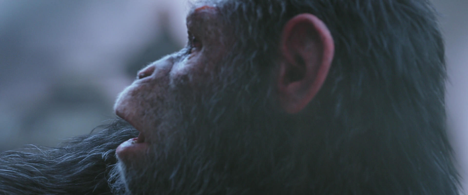 War for the Planet of the Apes (2017) movie still 14311
