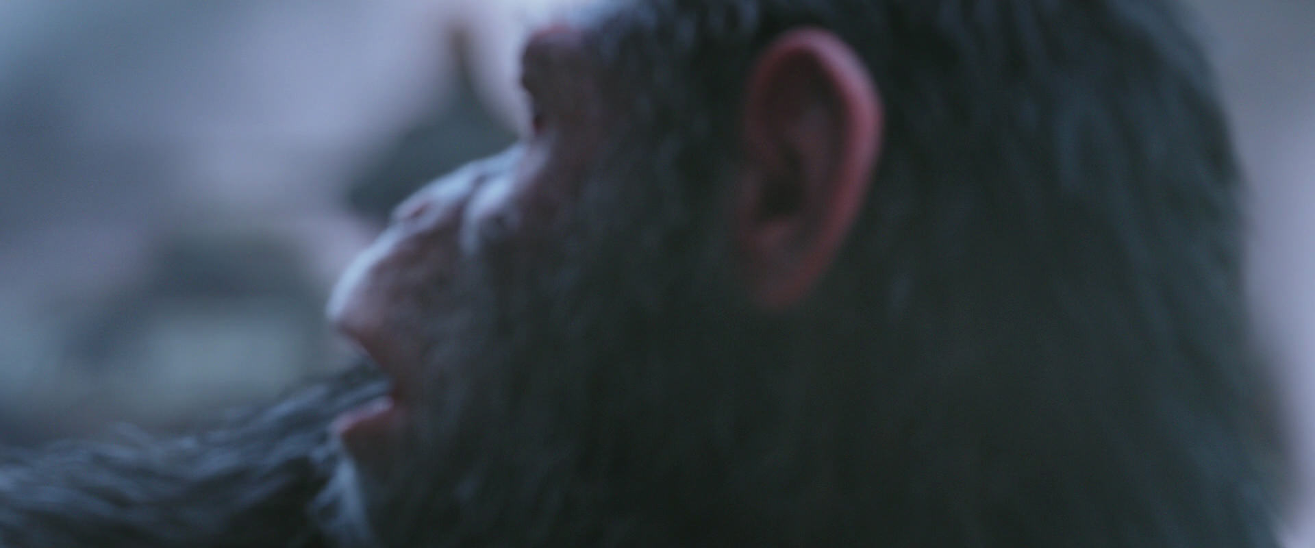 War for the Planet of the Apes (2017) HD screenshot 14312