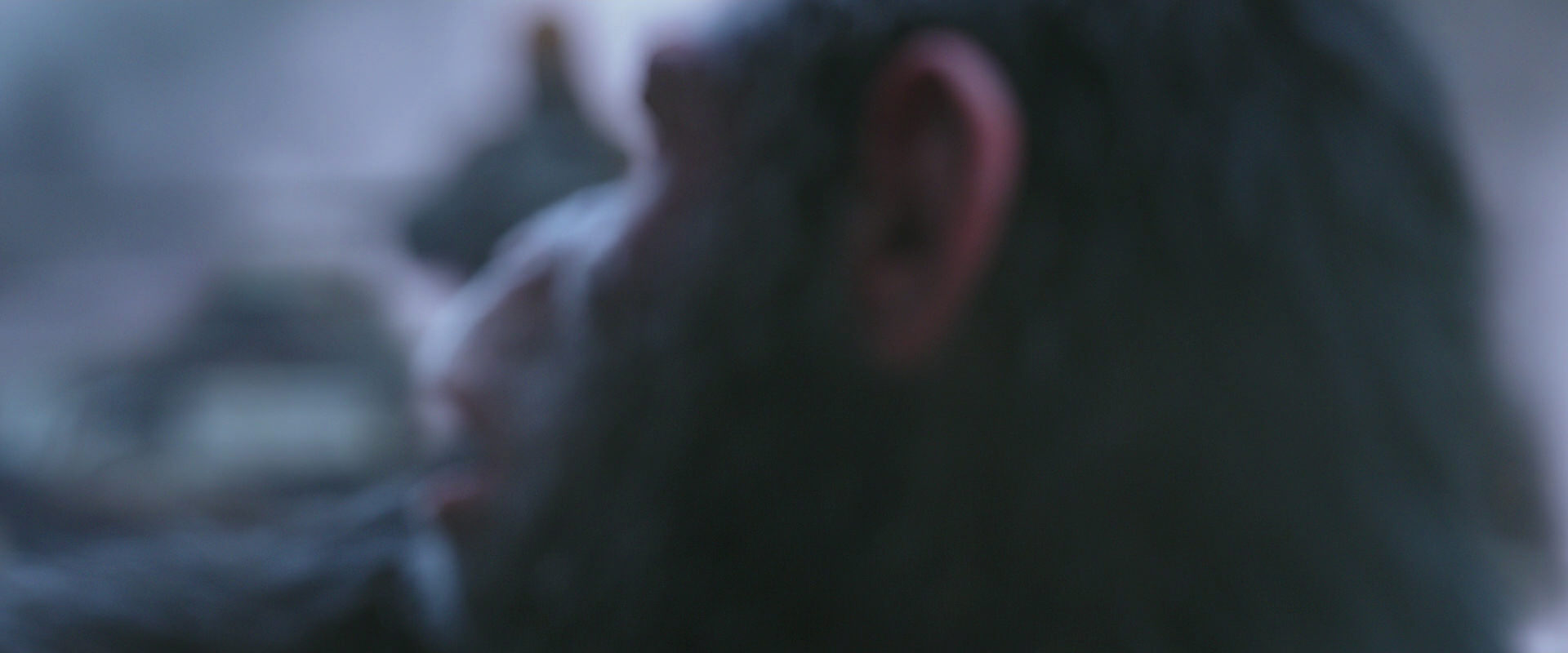 War for the Planet of the Apes (2017) screencap 14313