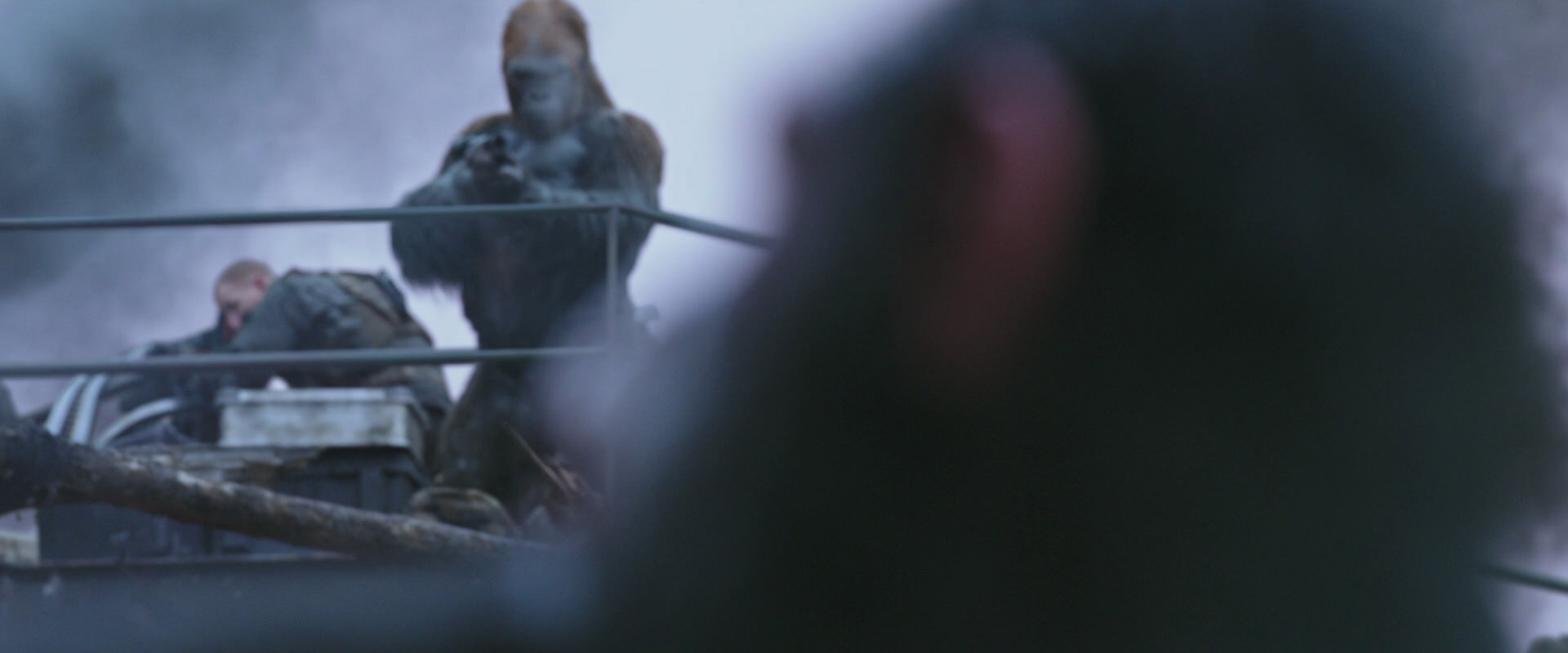 War for the Planet of the Apes (2017) movie still 14317