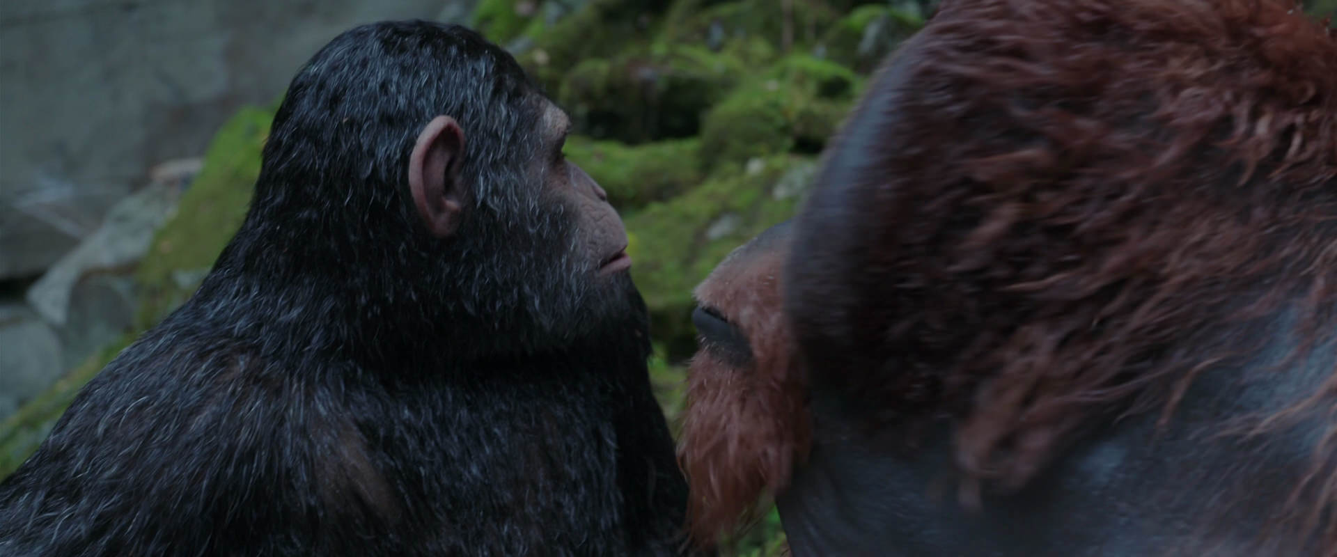 War for the Planet of the Apes (2017) movie still 1432