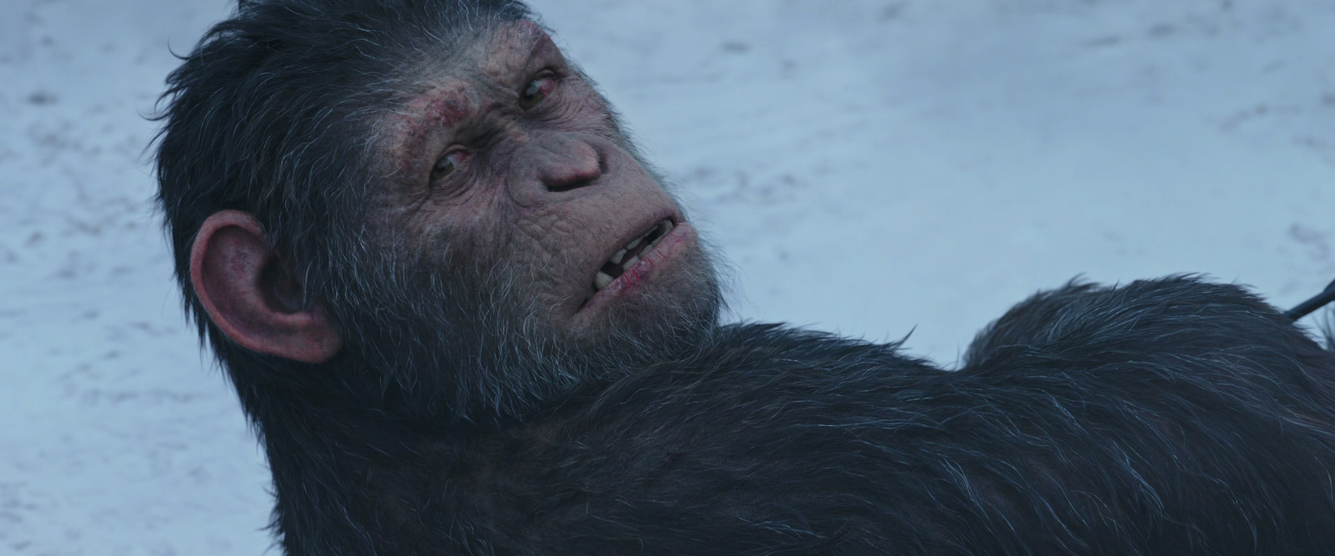 War for the Planet of the Apes (2017) movie still 14323