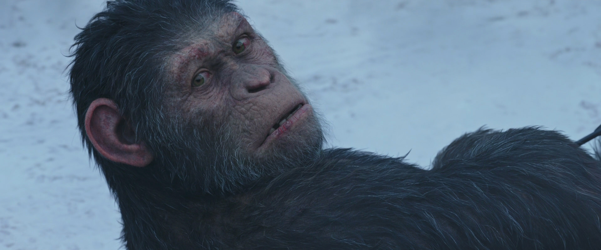 War for the Planet of the Apes (2017) HD screenshot 14324