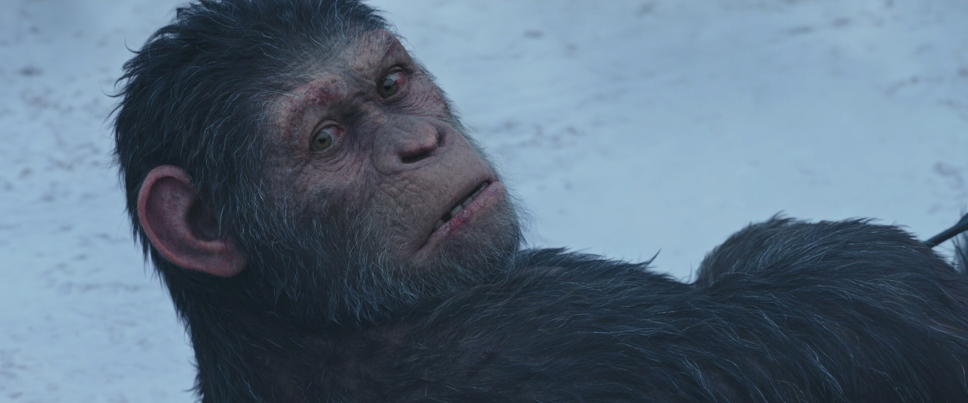 War for the Planet of the Apes (2017) screencap 14325