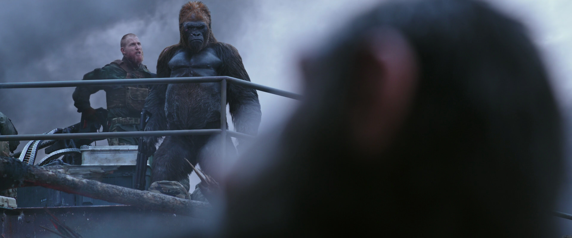 War for the Planet of the Apes (2017) screencap 14331