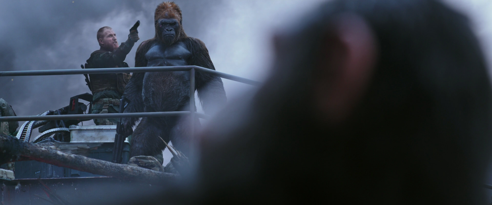 War for the Planet of the Apes (2017) screencap 14334