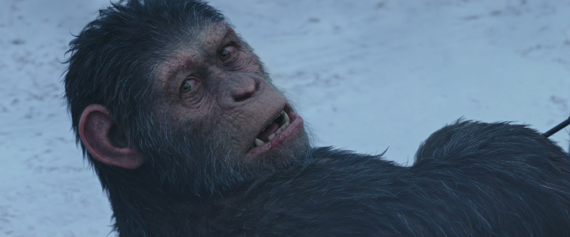 War for the Planet of the Apes (2017) movie still 14335
