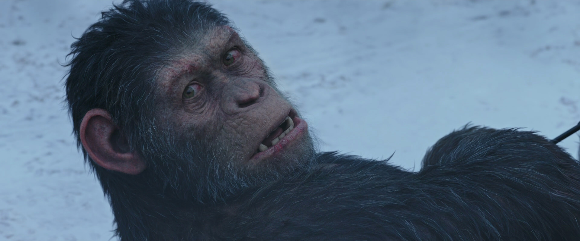 War for the Planet of the Apes (2017) HD screenshot 14336