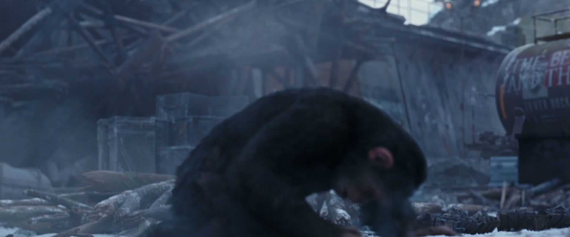 War for the Planet of the Apes (2017) screencap 14349