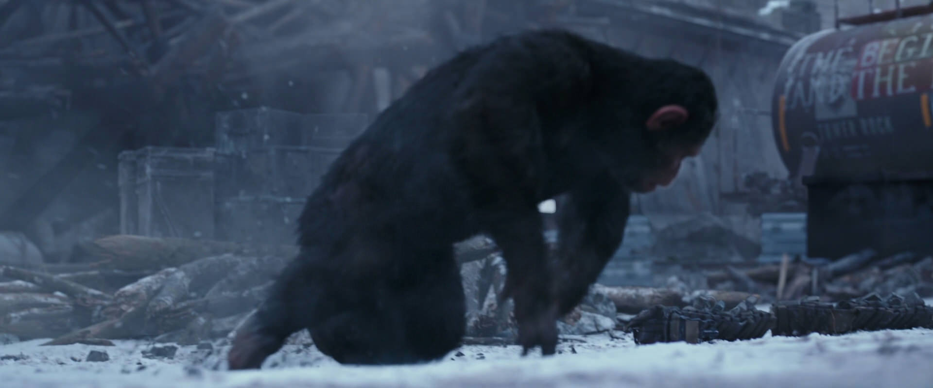 War for the Planet of the Apes (2017) movie still 14350