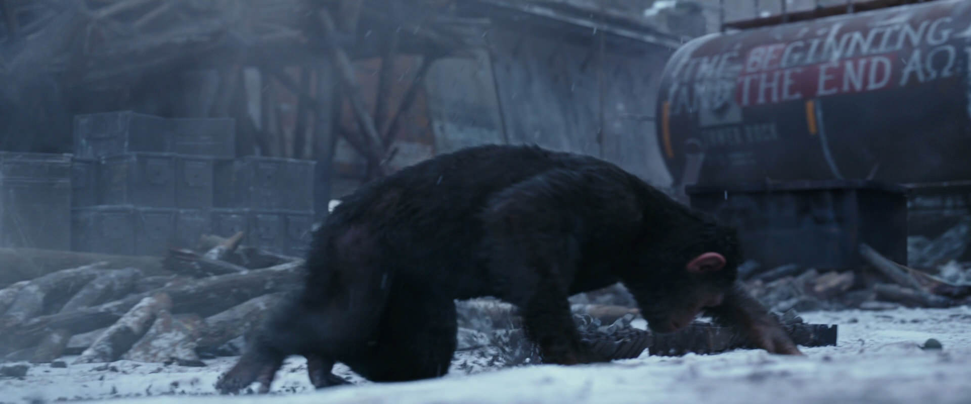 War for the Planet of the Apes (2017) screencap 14352